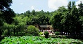 長(zhǎng)沙出發(fā)到花明樓、韶山、張家界國(guó)家森林公園、天門(mén)仙山國(guó)家森林公園四日游